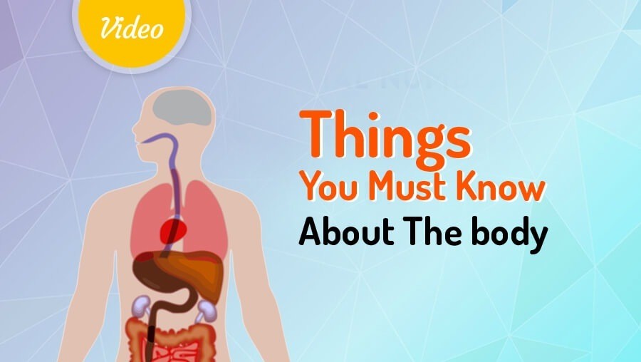 15 amazing facts about the human body