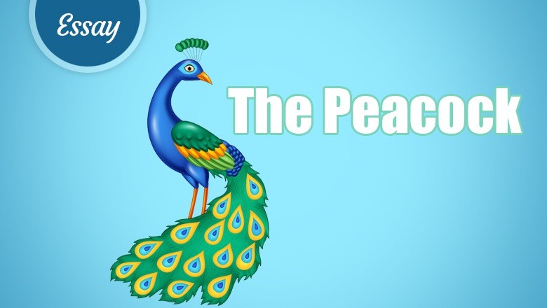 the peacock essay