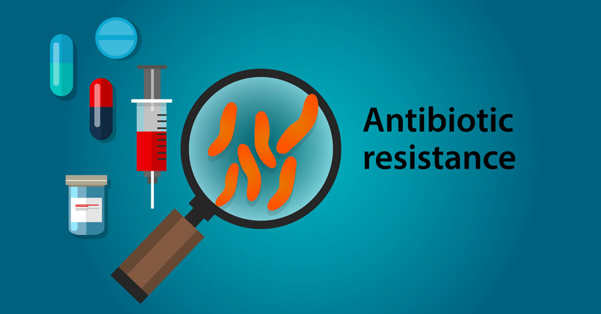 How Does Antibiotic Resistance Develop?