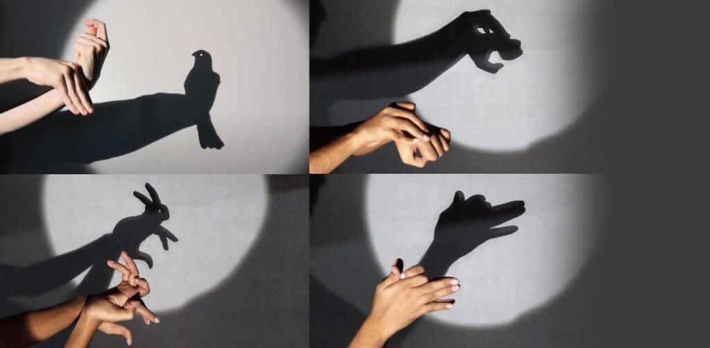 Creating Animal Shapes with Light and Hands